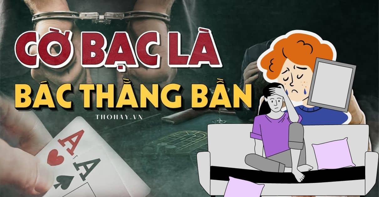 Khám phá bí ẩn về rắn hổ rồng và những đặc điểm nổi bật